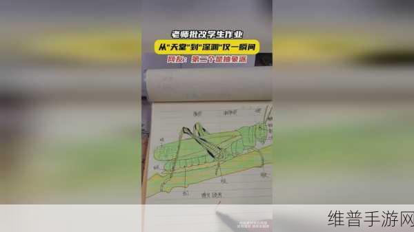 66m66成长模式视频-大陆4：探索66m66成长模式：大陆4的全新篇章与机遇