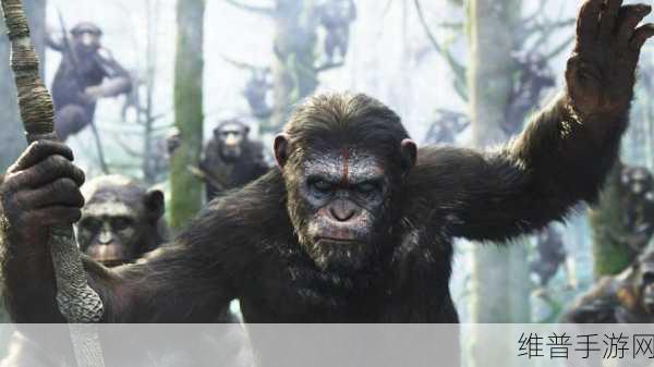 自由之战2：自由之战2：勇者崛起与荣耀的征途