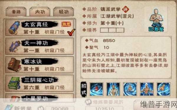 烟雨江湖太祖拳经之奥秘，实战与哲理全解析