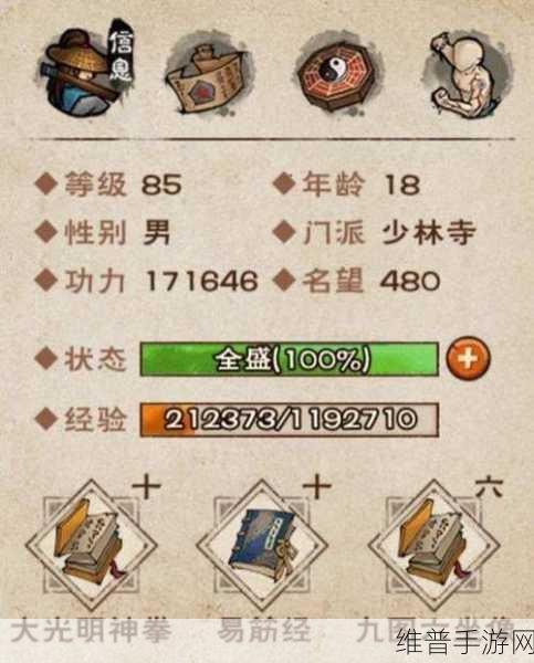 烟雨江湖太祖拳经之奥秘，实战与哲理全解析