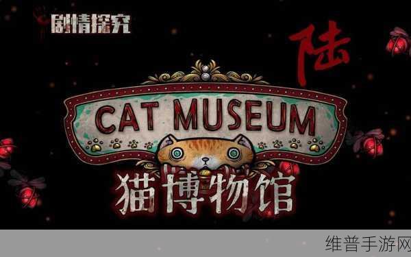 猫博物馆通关秘籍，第一关突破指南