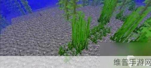 我的世界手游，海草采集全攻略