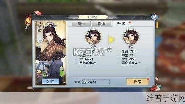 武林外传手游，娄知县侠影情缘绝佳搭配秘籍
