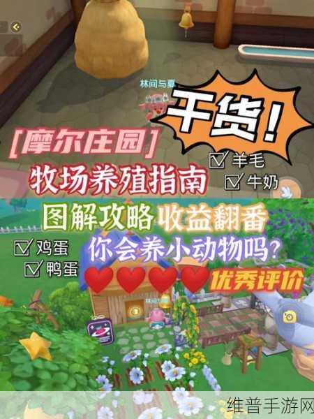 摩尔庄园手游绵羊暂停产出原因及解决秘籍