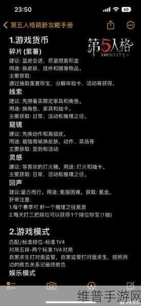 第五人格新手畅玩指南，实用技巧全解析