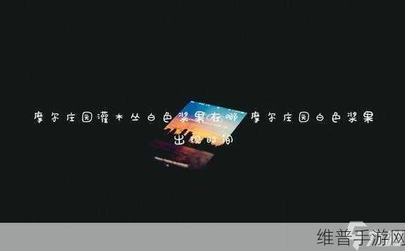 摩尔庄园手游，黑色浆果用途全解析