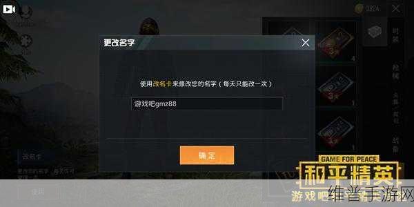 和平精英空白名字秘籍，代码与复制技巧全解析