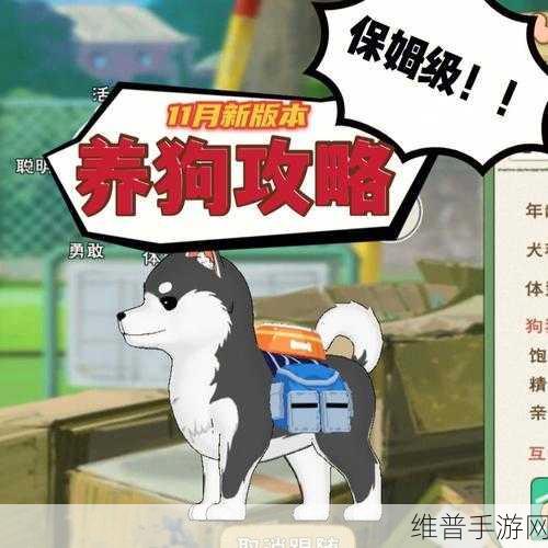 小森生活，好友攻略秘籍，亲密度提升指南