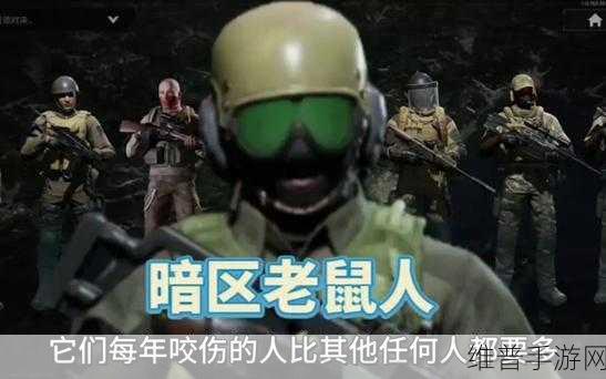暗区突围联络人深度解析，谁是你的最佳伙伴