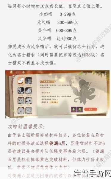名士猫快速升级至 50 级的必备攻略