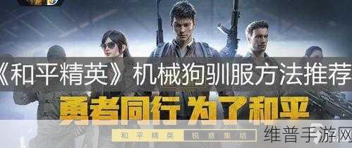 和平精英机械狗收回攻略，掌控战场的关键技巧