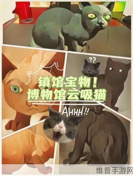 猫博物馆手游，破解大厅箱子密码之谜