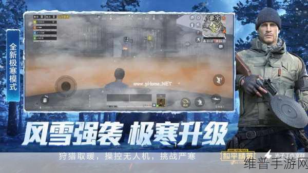 和平精英，胖达团团套装获取全攻略