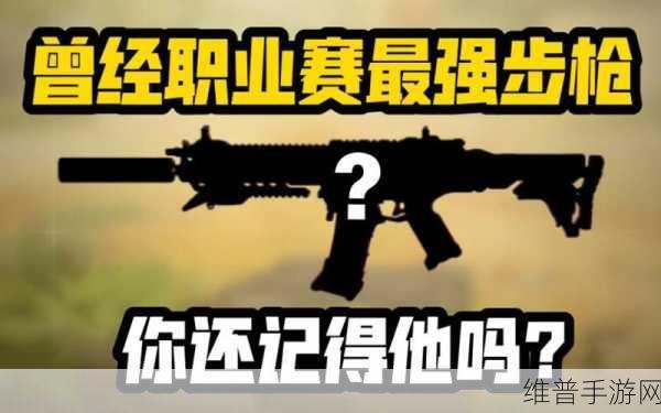 使命召唤手游赛季任务全解析，带你称霸战场