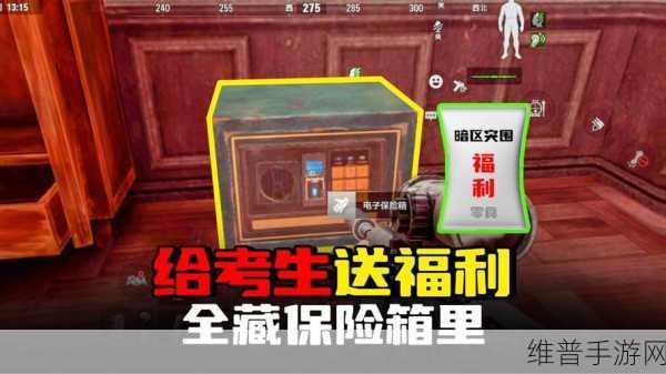 暗区突围保险箱的神奇用途与获取秘籍
