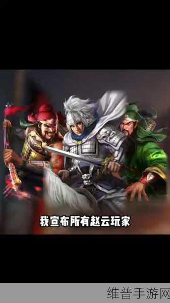 热血三国志手游，赵云实力剖析与装备宝石攻略指南
