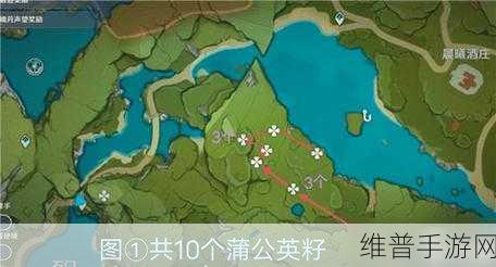 原神，蒲公英籽分布全揭秘