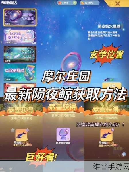 摩尔庄园渔网获取位置大揭秘