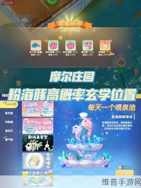 摩尔庄园渔网获取位置大揭秘