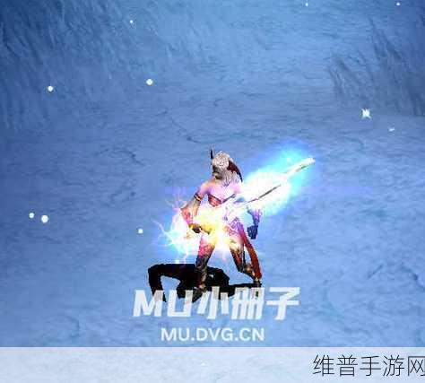 伊洛纳手游，全面解析祝福道具的神奇效果