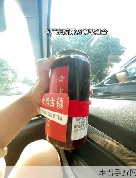 暴躁老阿姨CsGO最新章节更新：暴躁老阿姨重返战场，CSGO巅峰对决再续传奇