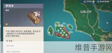 原神证悟木高效收集秘籍大公开
