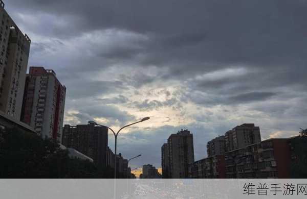 深度解析烟雨江湖无常丹的奇妙用途