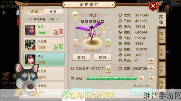 长安幻想手游，九霄灵墟畅玩秘籍
