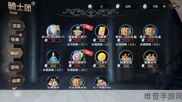 苍之骑士团 2 中亚黛儿海德的超强实力解析与玩法指南