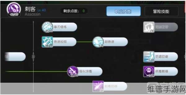 仙境传说 RO 刺客加点全攻略，助你称霸游戏世界