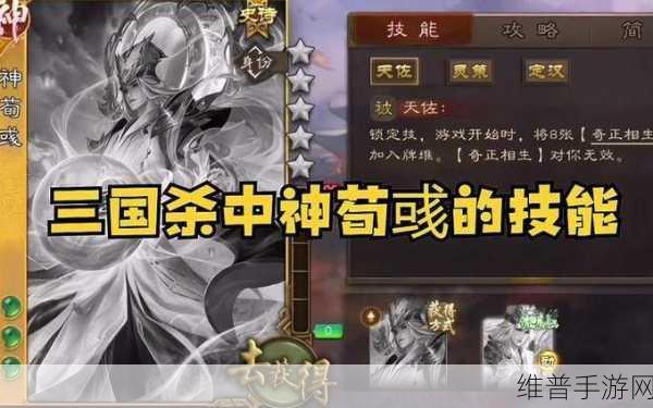 三国杀荀彧技能剖析与玩法全指南