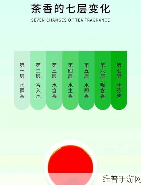烟雨江湖茶叶采买全攻略，领略茶香风情