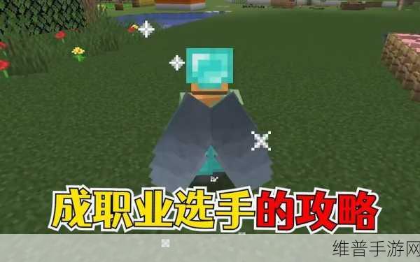 我的世界手游鞘翅平地起飞秘籍大公开