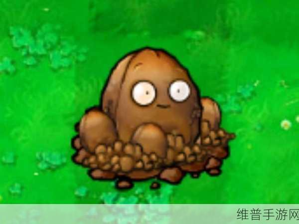 植物大战僵尸 2 中坚果保龄球关卡探秘