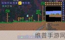 泰拉瑞亚手游，速刷暗影之魂的绝佳秘籍