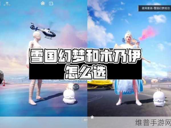 和平精英，雪国幻梦与维京奇缘套装获取全指南