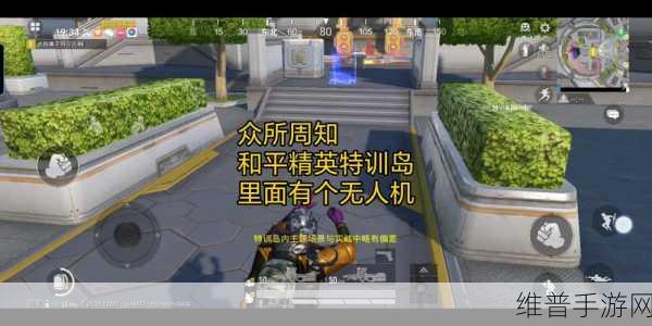 和平精英，掌控无人机的全方位指南