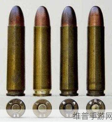 暗区突围，深入解析子弹穿透机制的秘密