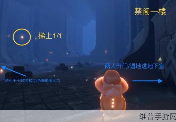 Sky 光遇，全光之翼收集秘籍与掉落位置大揭秘