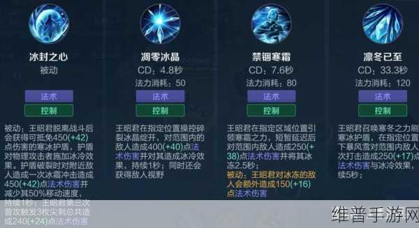 王者荣耀凛冬装备全解析，助力战场称霸