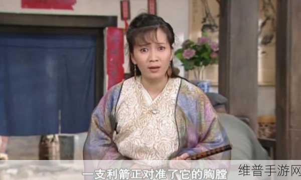 武林外传手游，南宫残花任务通关秘籍
