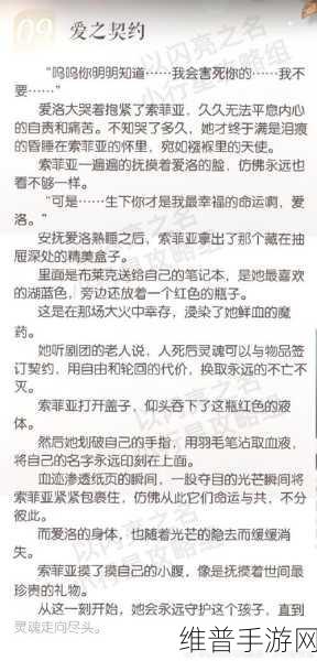 以闪亮之名命运之誓活动全方位解析与攻略