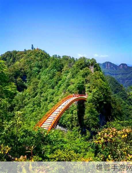 暗区突围山谷保险箱探秘，宝藏全知晓与攻略秘籍
