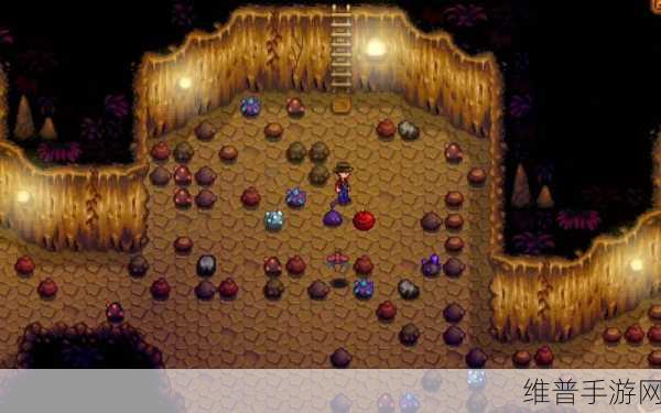 星露谷物语沙漠矿洞无电梯破解之道