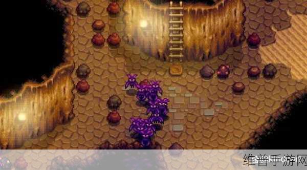 星露谷物语沙漠矿洞无电梯破解之道