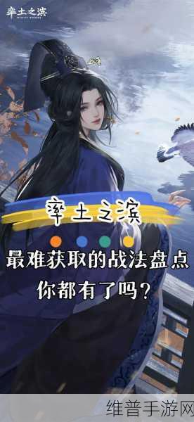 率土之滨董卓称霸秘籍，酒池肉林战法搭配全解析