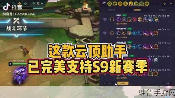 深度解析云顶之弈小队规划器的精妙用法