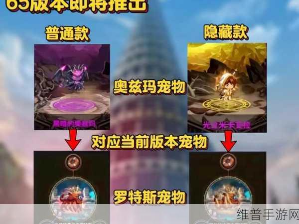 DNF 手游宠物共享与转移的深度剖析