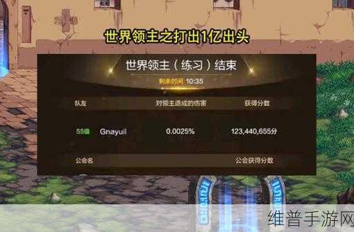 地下城与勇士手游黑钻特权购买指南，性价比与游戏体验的深度剖析