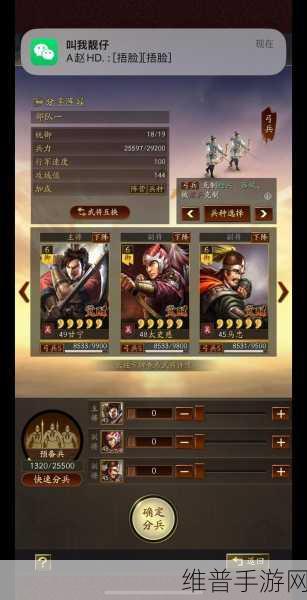 三国志战略版深度攻略，马忠阵容搭配全解析